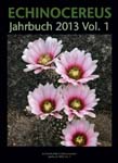 Jahrbuch 2013 01 109x150px