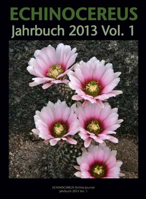 Jahrbuch 2013 01 295x402px