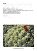 HP Echinocereus Online 2013 01_Seite_11