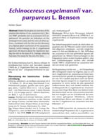 HP EcJ-Online 2013 03_Seite_12