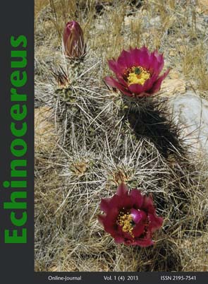 HP Echinocereus Online 2013 04_Seite_01