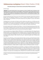 HP Echinocereus Online 2013 04_Seite_47