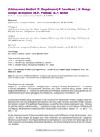 HP EcJ-Online 2014 02_Seite_59