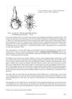 HP EcJ-Online 2014 03_Seite_07