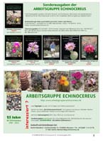 HP adustus Sonderausgabe 2014_Seite_007